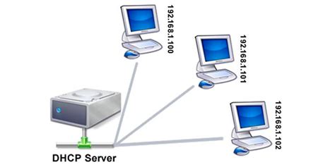 what is dhcp protocol in networking