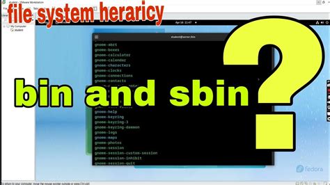 What Is Difference Between Bin And Sbin In Linux