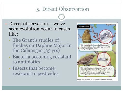 what is direct observation in evolution