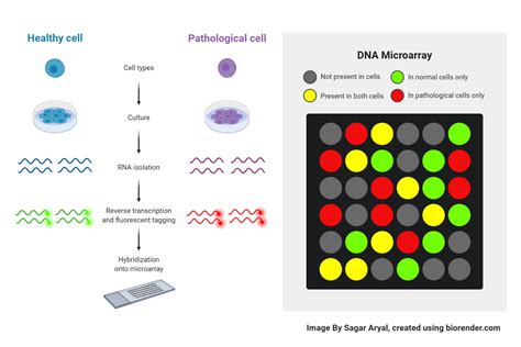 what is dna microarray analysis