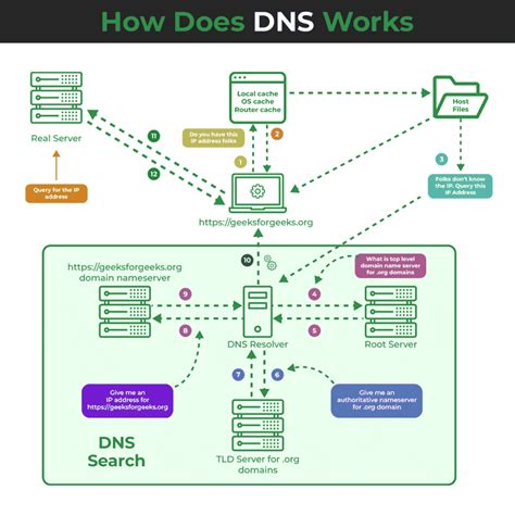 what is dns in computer network geeksforgeeks