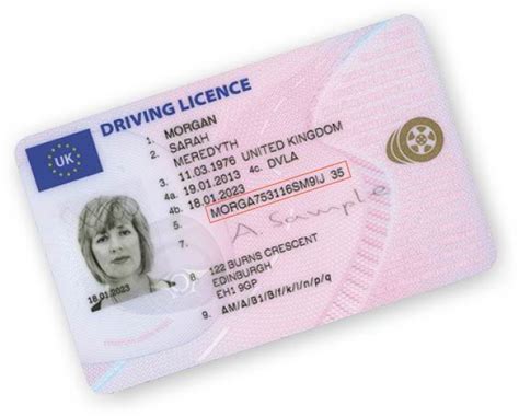 what is document reference number driving licence