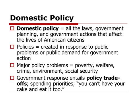 what is domestic policy definition