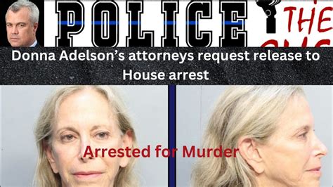 what is donna adelson accused of