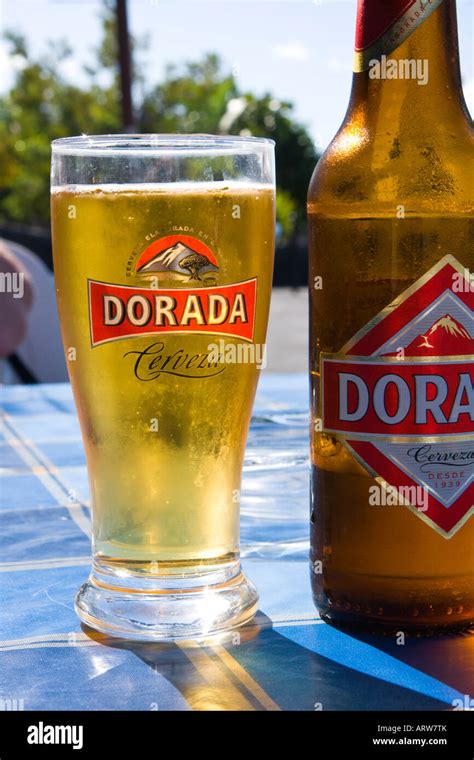 what is dorada beer like