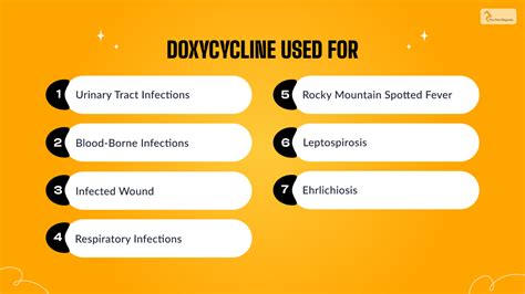 what is doxy used for in dogs