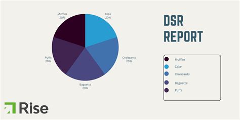 what is dsr in software