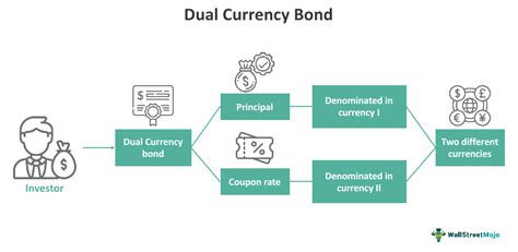 what is dual currency