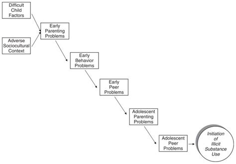 What Is Dynamic Cascade Model