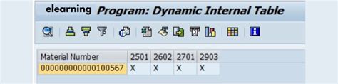 What Is Dynamic Internal Table In Abap