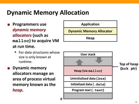what is dynamic memory allocation in data structure with example