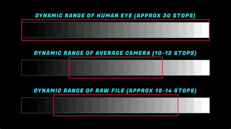 What Is Dynamic Range On A Camera