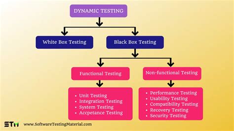 What Is Dynamic Testing In Education