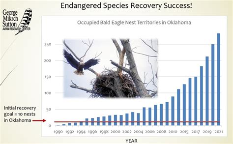 what is eagle recovery