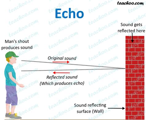 what is echo in audio