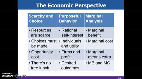 what is economic perspective