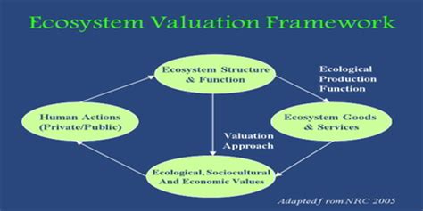 What Is Ecosystem Valuation