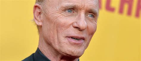 what is ed harris doing now