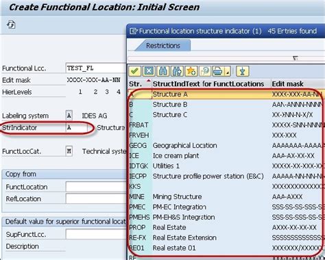 what is edit mask in sap pm