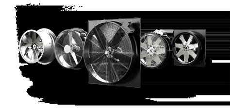 What Is Possessions Raymonde Fans Information: Everything 2026