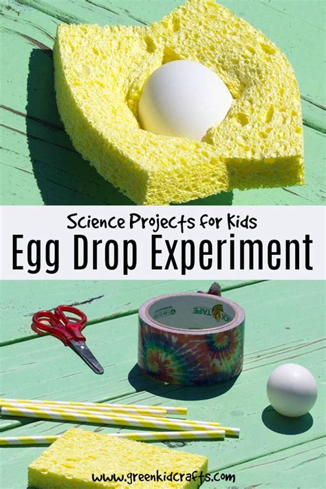 what is egg drop experiment
