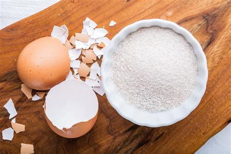 What Is Eggshell Powder Good For