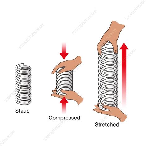 what is elastic spring force