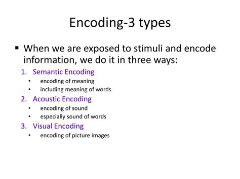 What Is Encoding Definition Psychology