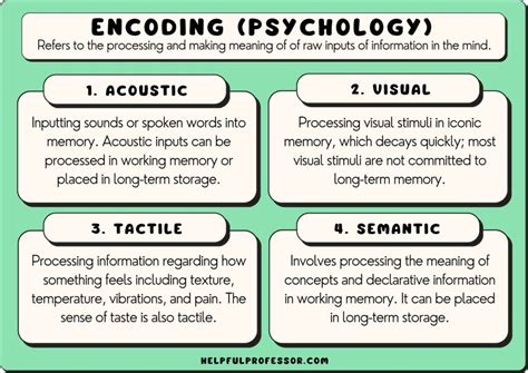 what is encoding in psychology simple terms