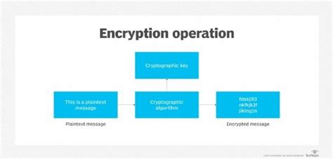 what is encrypt in cyber security