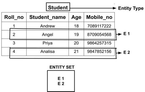 what is entity type in dbms with example