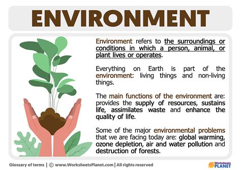 what is environment and examples