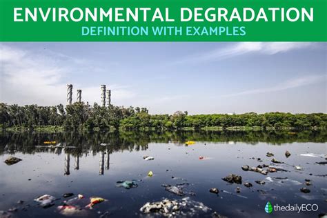 what is environmental degradation and examples