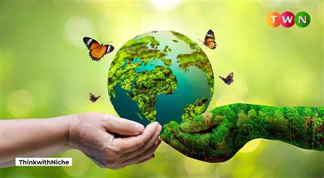 what is environmental development
