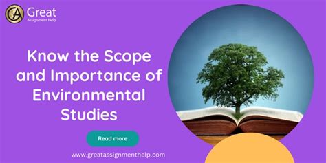 what is environmental studies discuss its scope and importance