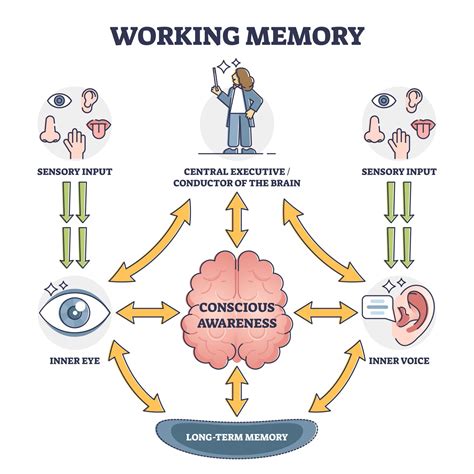 what is episodic buffer in working memory model