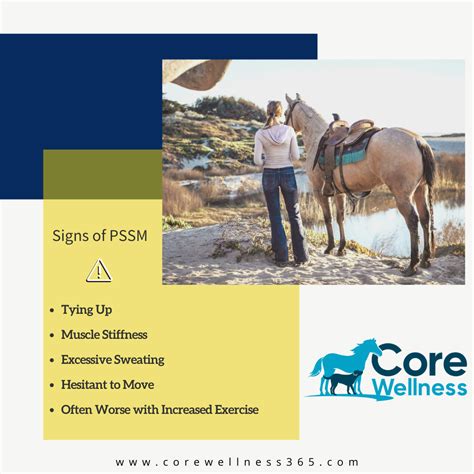what is equine pssm