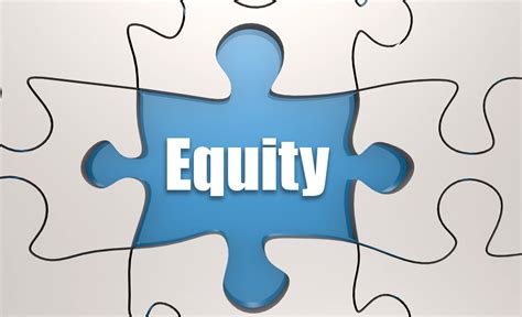 what is equity in business studies