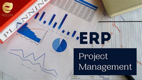 ERP Implementation Support ERP Consulting Services from EAI
