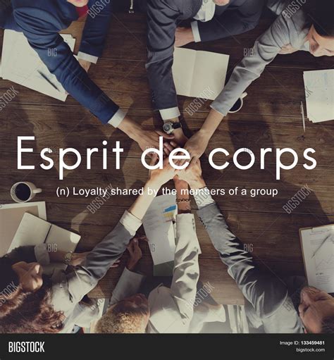 what is esprit de corps