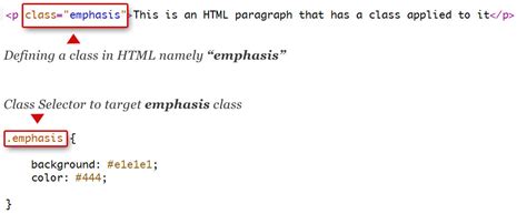 what is established class selector