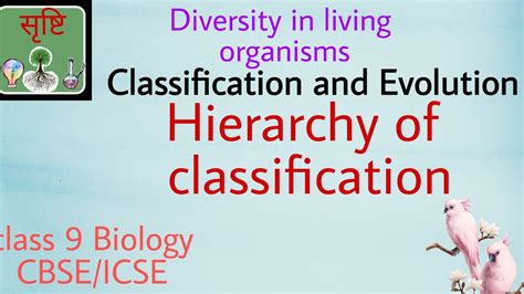 what is evolution class 9