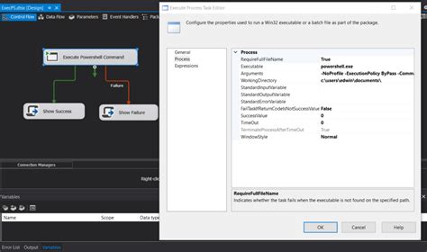 what is execute process task in ssis