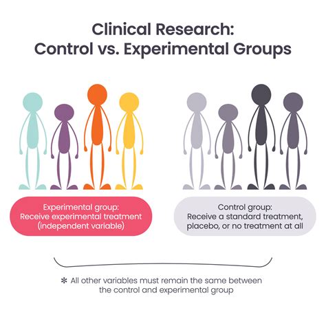 what is experimental group and control group in research