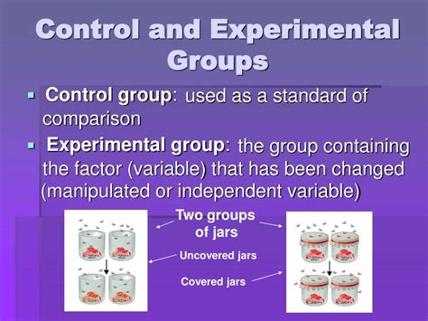 what is experimental group in statistics