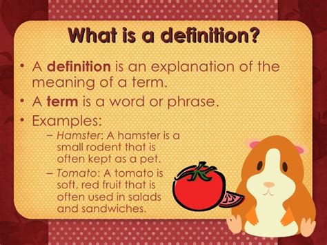 what is explanation mean