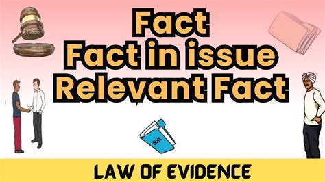 what is fact and fact in issue
