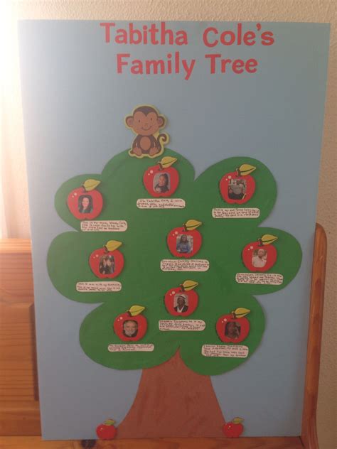 what is family tree for class 2