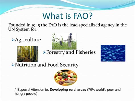 what is fao food