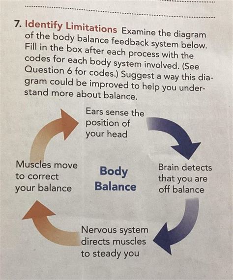 What Is Feedback In A System Brainly